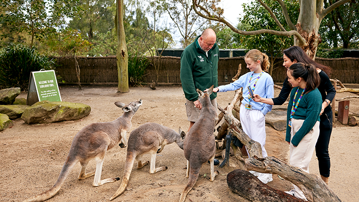 Zoo Friends Annual Membership | Taronga Conservation Society Australia